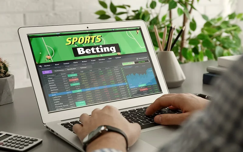 Focussed BD fan checking live odds on mobile and desktop while viewing a real-time cricket match